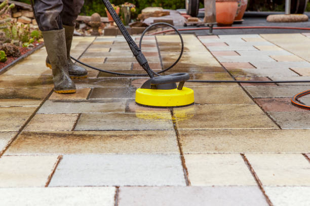 Best Solar Panel Cleaning  in San Juan, TX